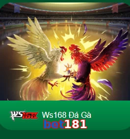 bet181